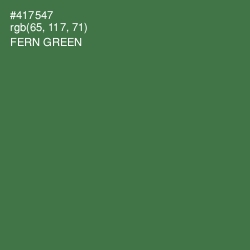 #417547 - Fern Green Color Image